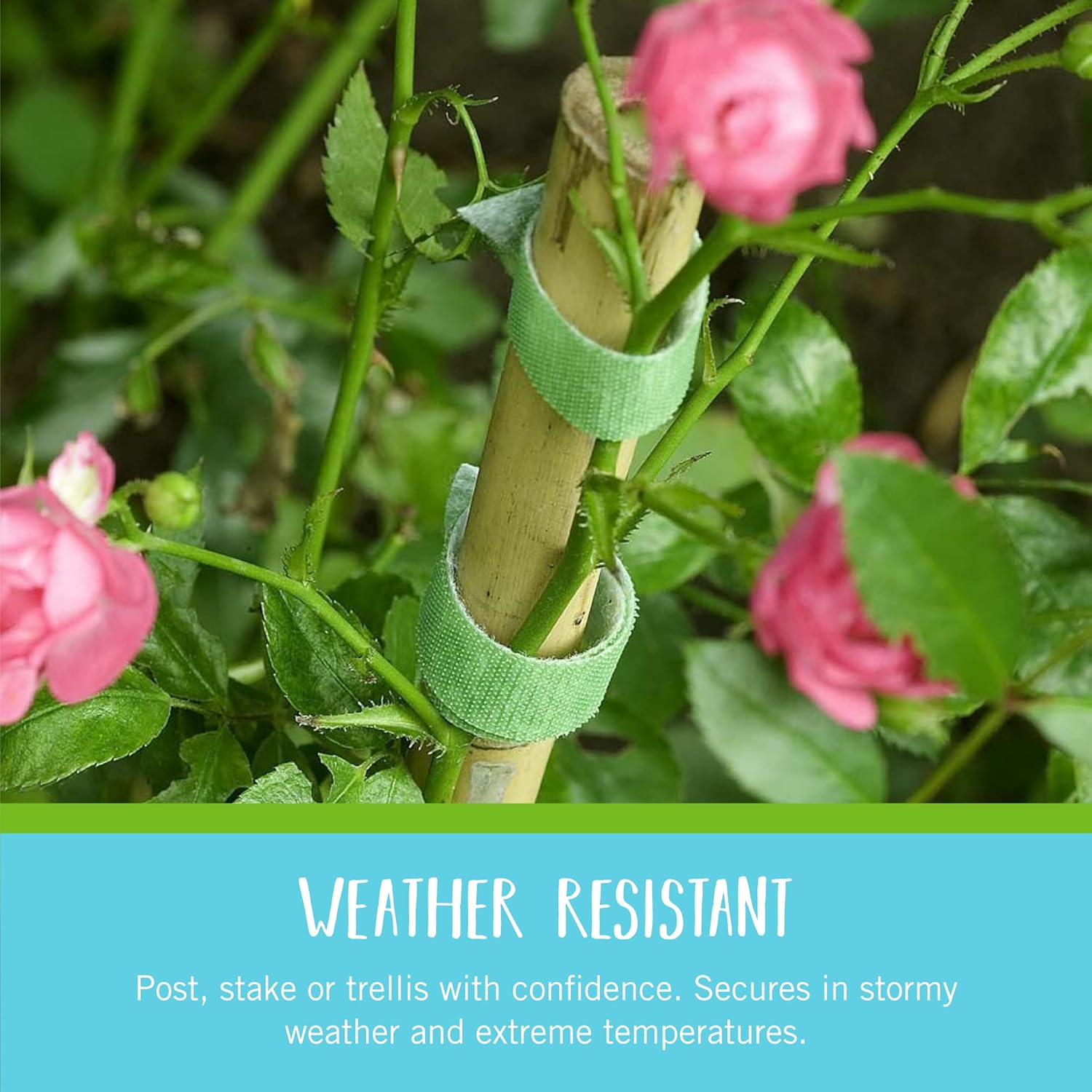 VELCRO Brand VEL-30071-USA ONE-WRAP Garden Ties | Plant Supports for Effective Growing | Strong Grips are Reusable and Adjustable | Cut-to-Length, 50 ft x 1/2 in, Green-Recycled Plastic