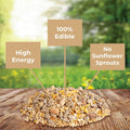 Kaytee Wild Bird (No Mess or Waste Free) Food Seed Blend For Blue Jays, Woodpeckers, Juncos, Cardinals, Grosbeaks, Sparrows, and Finches, 10 Pound, (Packaging May Vary)